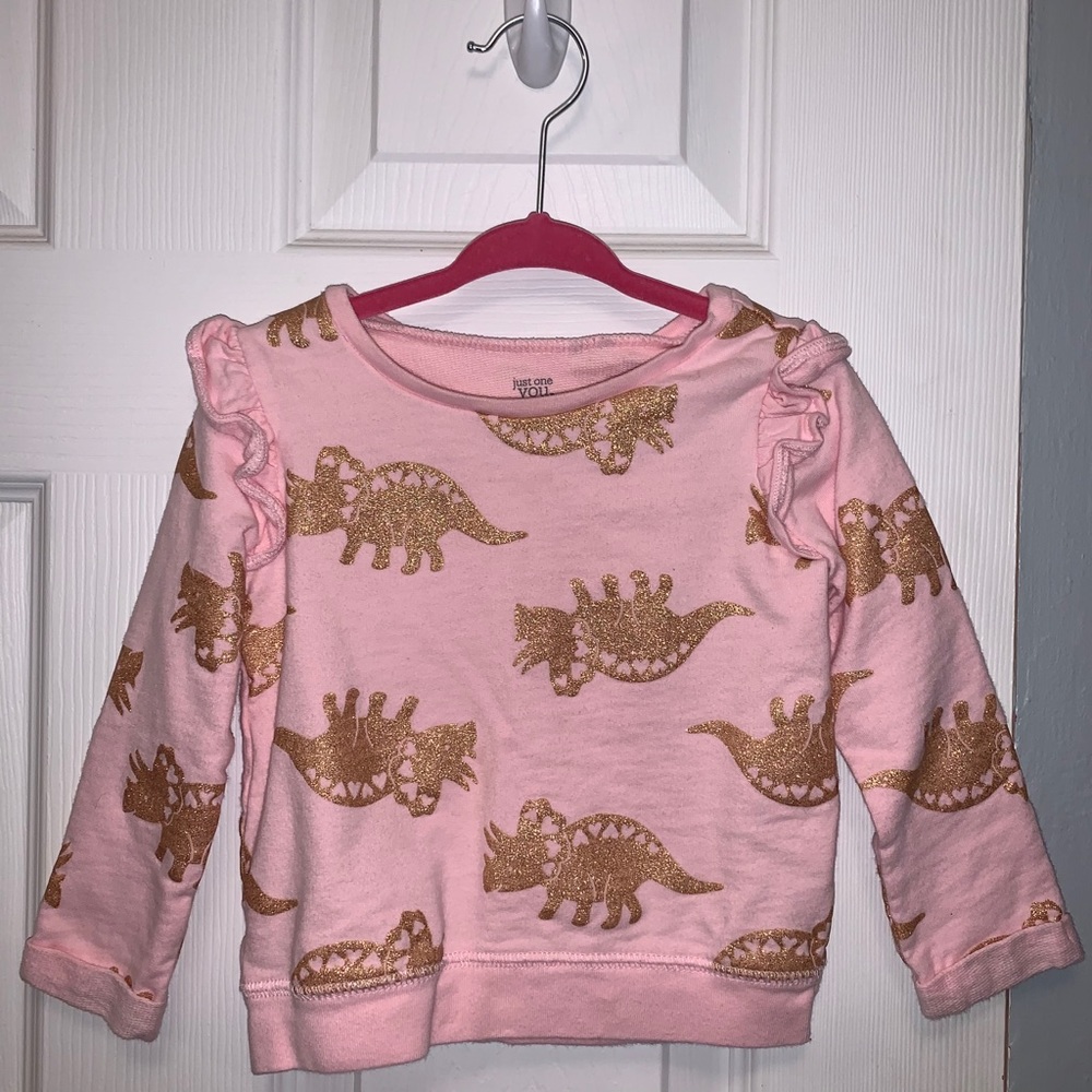 Pink Gold Dinosaur Sweatshirt 24 mo